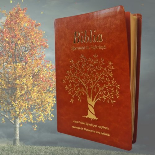 Biblia de studiu Speranță în suferință - mărime mare, piele ecologică, culoare maro, margini aurii, cuv. lui Isus cu roșu
