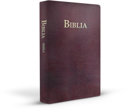Biblia traducere Fidela, marime mare, coperta visinie, piele ecologica, margini aurii (editia 3) Biblia traducere Fidela, marime mare, coperta visinie, piele ecologica, margini aurii (editia 3)