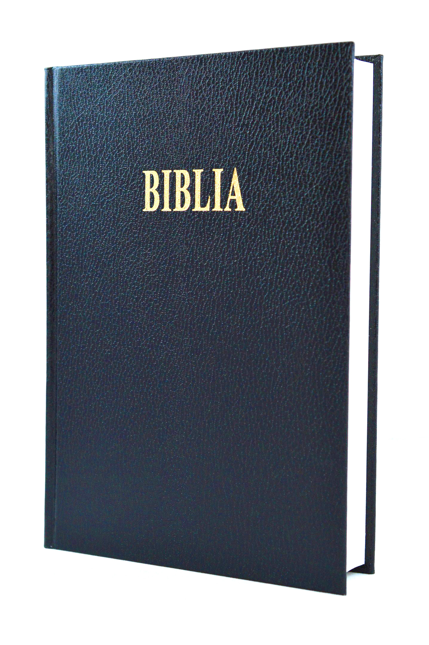 Biblia GBV, traducere literala noua, marime mare, coperta cartonata, neagra [editia 2001]