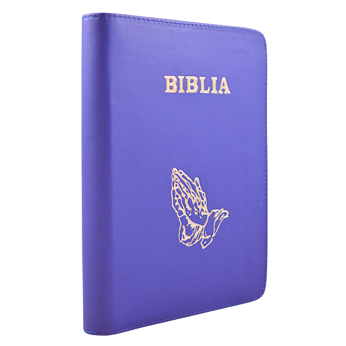 Biblia interactiva pentru tineri - trad. Cornilescu, coperta piele albastra, simbolul maini in ruga, margini argintii, albastra