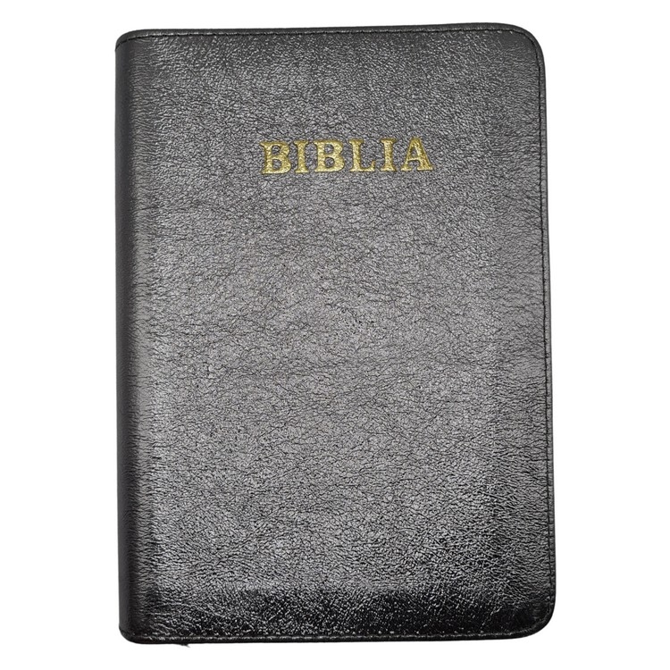 Biblie din piele, marime medie, culoare, argintiu sidefat, fermoar, index, margini aurii, cuv. lui Isus cu rosu [SB 057 PFI]