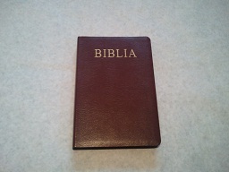 Biblia marime mare, visinie, din imitatie piele, aurie [073 IP]