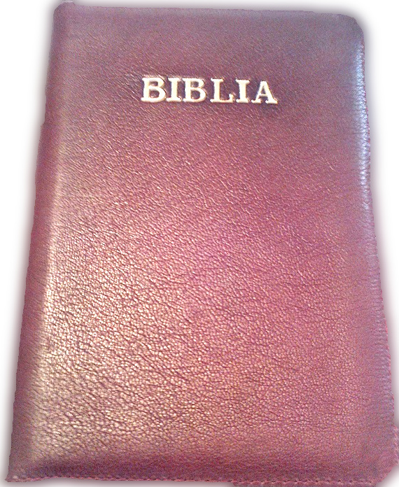 Biblia NTR (Biblia Noua Traducere), coperta din piele, visinie, fermoar, marime medie Biblia NTR (Biblia Noua Traducere), coperta din piele, visinie, fermoar, marime medie
