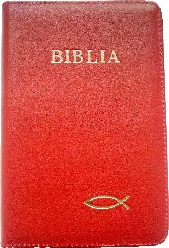 Biblia NTR (Biblia Noua Traducere), coperta din piele, rosie, cu peste, fermoar, marime medie Biblia NTR (Biblia Noua Traducere), coperta din piele, rosie, cu peste, fermoar, marime medie