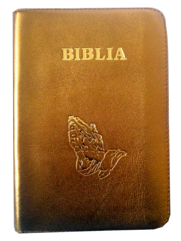 Biblia marime medie, piele, culoare aurie, fermoar, cu maini, cuv. lui Isus cu rosu [053]