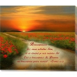 Tablou canvas (25x30cm) - Binecuvintează casa robului tău