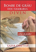 Boabe de grau din hambarul Divin - schite de predici Boabe de grau din hambarul Divin - schite de predici