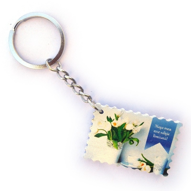 Breloc - nasa, nas Breloc - nasa, nas