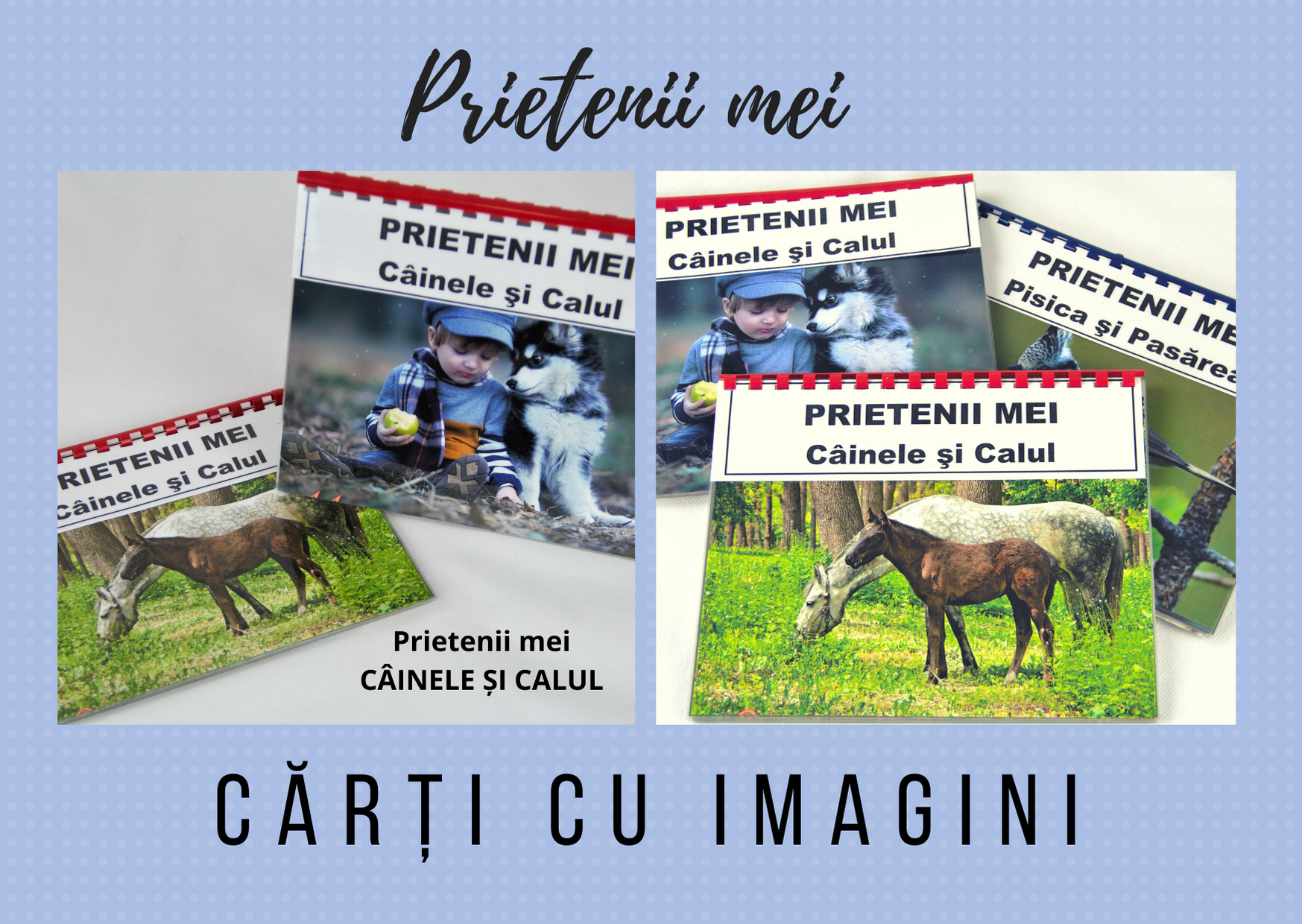 Prietenii mei – Câinele și calul - Cărți cu imagini Prietenii mei – Câinele și calul - Cărți cu imagini
