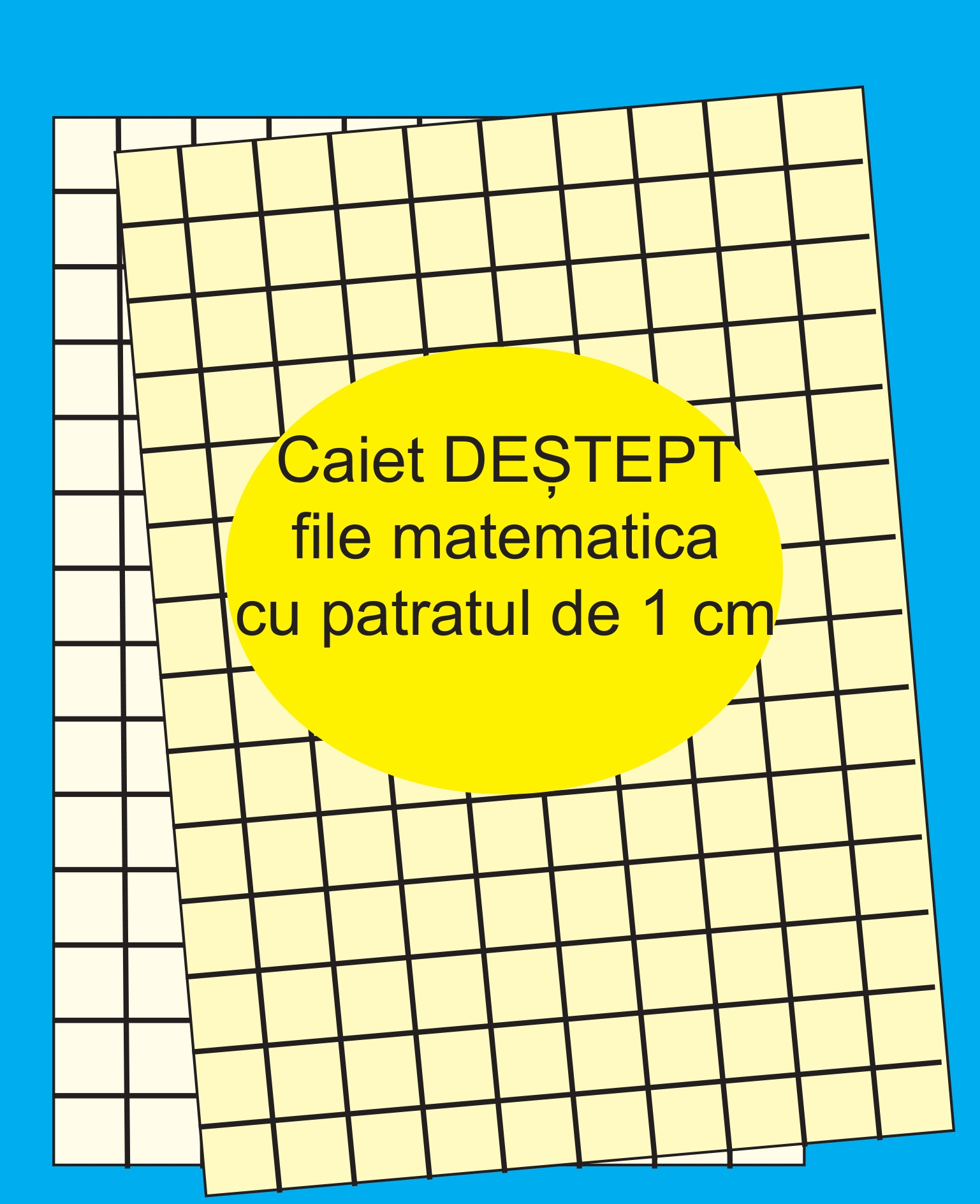 Caiet destept - Activitati pentru copii Caiet destept - Activitati pentru copii
