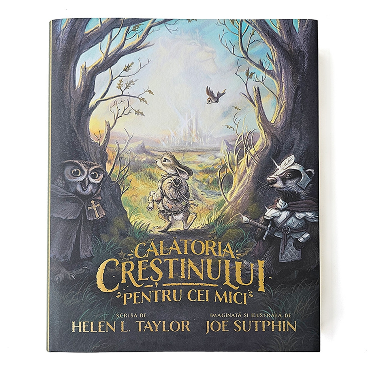 Călătoria Creștinului pentru cei mici (Carte) + Cartea de activitati si colorat (SET) Călătoria Creștinului pentru cei mici (Carte) + Cartea de activitati si colorat (SET)