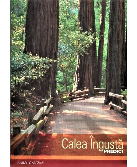 Calea ingusta - Predici crestine Calea ingusta - Predici crestine