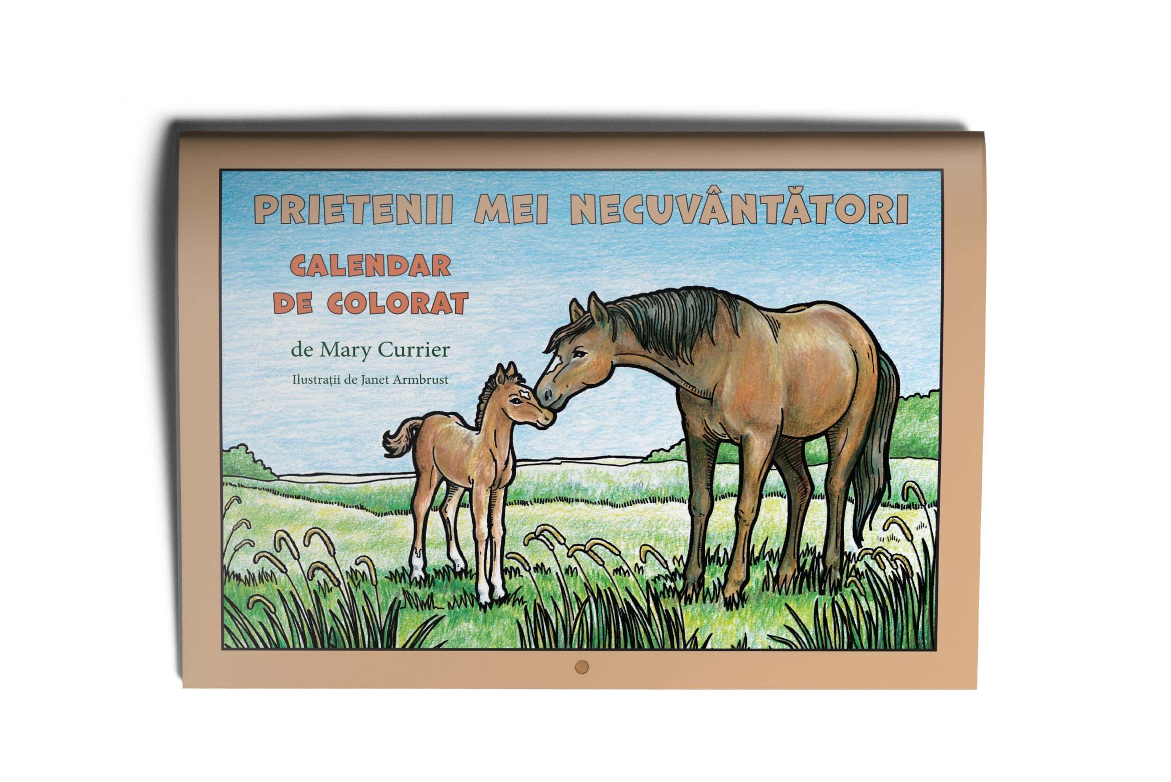 Prietenii mei necuvântători – calendar de colorat