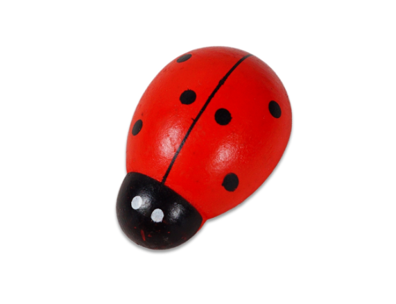 Magnet de frigider - buburuza Magnet de frigider - buburuza