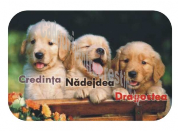 Magnet de frigider - Credinta, Nadejdea, Dragostea Magnet de frigider - Credinta, Nadejdea, Dragostea