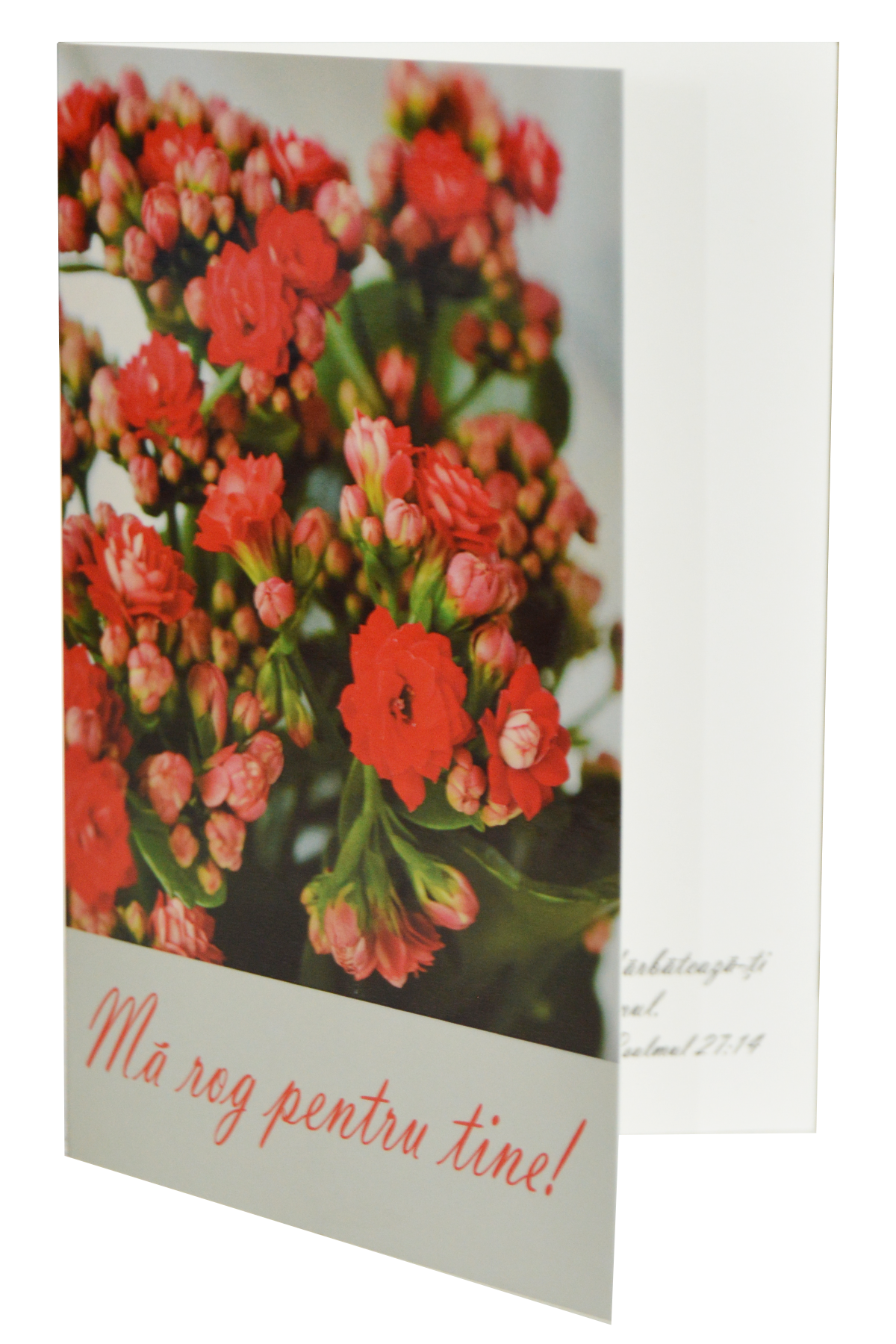 Felicitare – Mă rog pentru tine! Felicitare – Mă rog pentru tine!