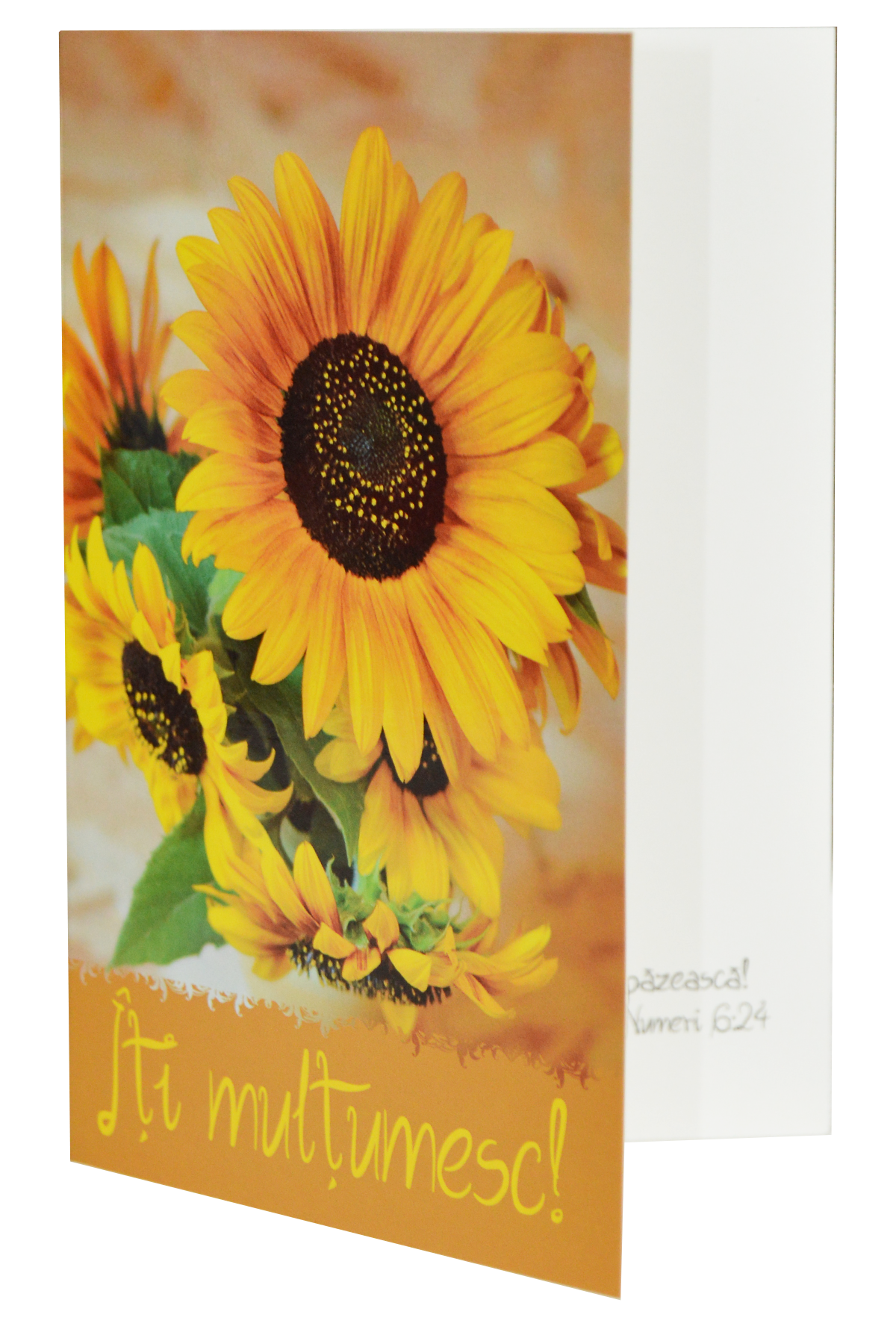 Felicitare – Îți mulțumesc! Felicitare – Îți mulțumesc!