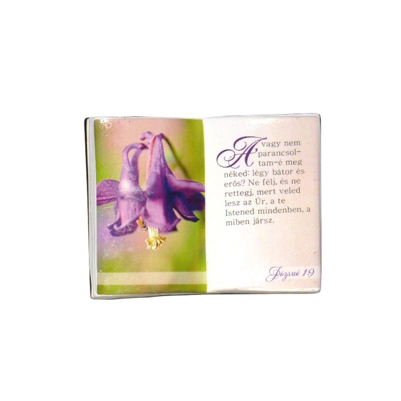 Carte cu verset "Avagy nem parancsoltam-é" - Suport de creioane (maghiara) Carte cu verset "Avagy nem parancsoltam-é" - Suport de creioane (maghiara)