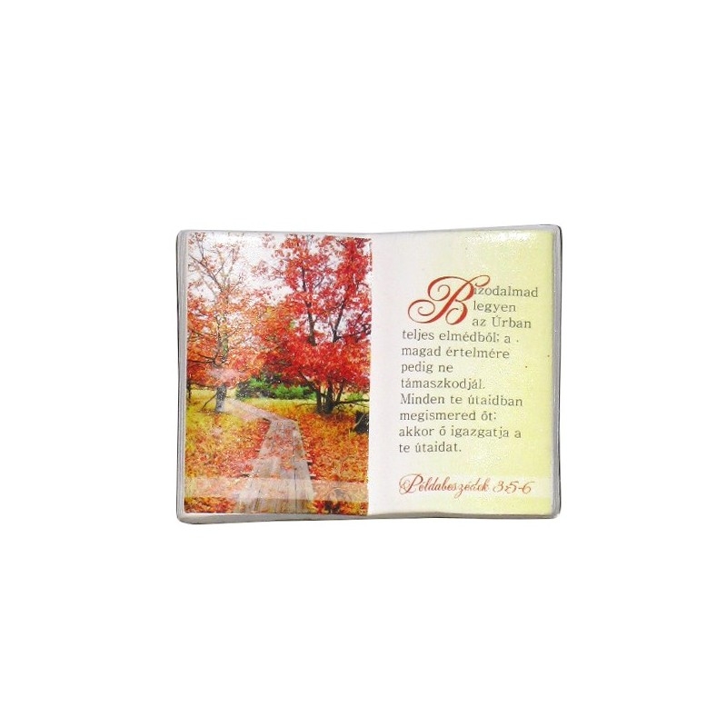 Suport de creioane verset (maghiara) -  " Bizodalmad legyen az Úrban teljes..." Suport de creioane verset (maghiara) -  " Bizodalmad legyen az Úrban teljes..."