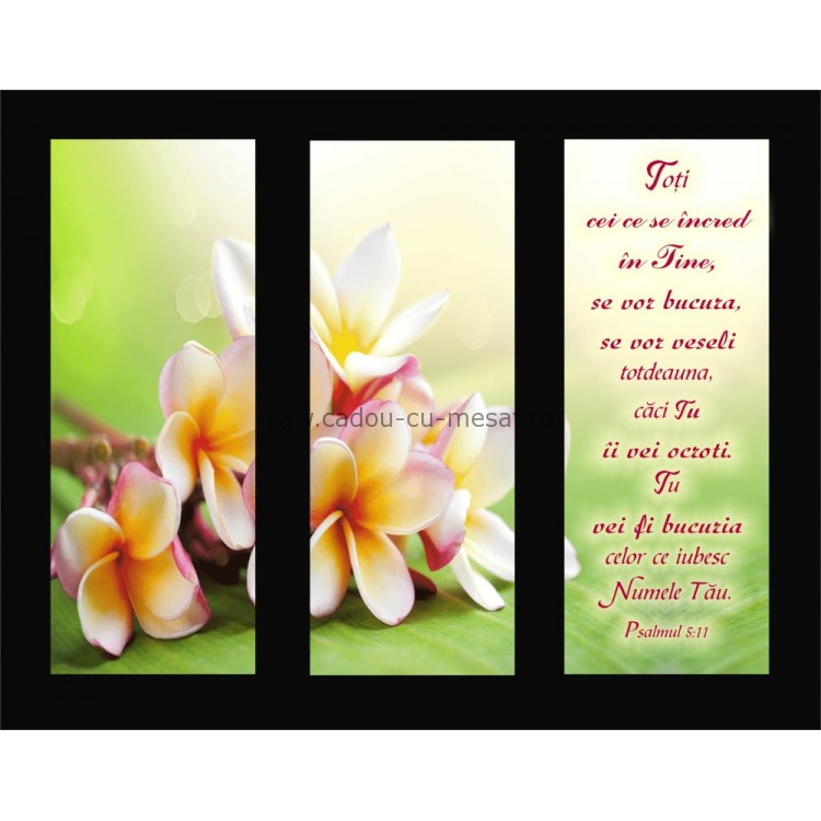 Placheta catifea - Toti cei ce se încred în Tine se vor bucura Placheta catifea - Toti cei ce se încred în Tine se vor bucura