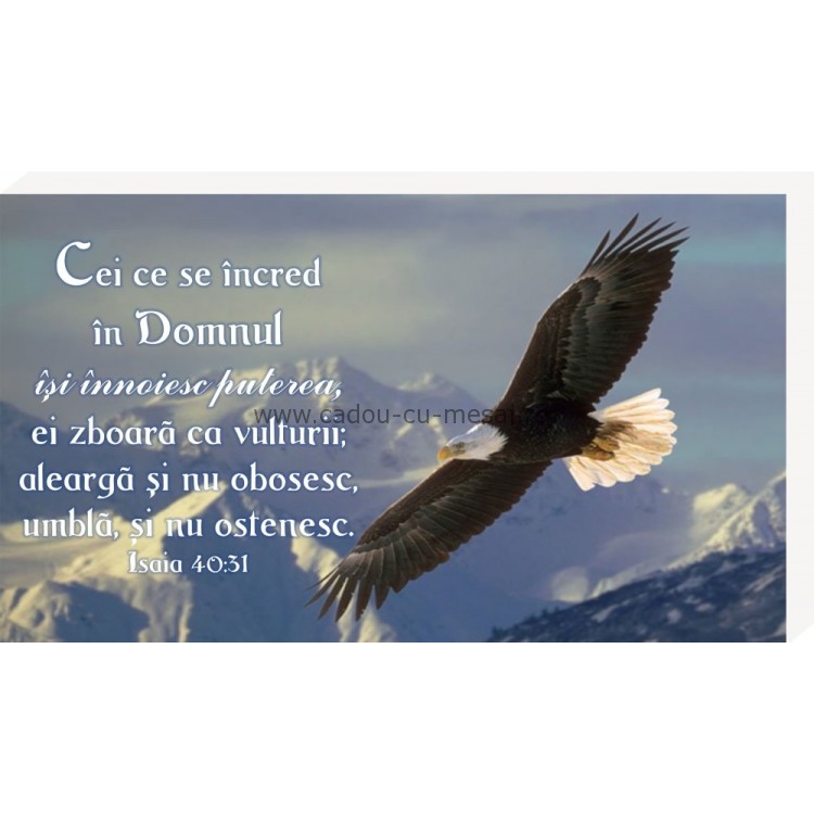 Cei ce se încred în Domnul- Placheta birou Cei ce se încred în Domnul- Placheta birou