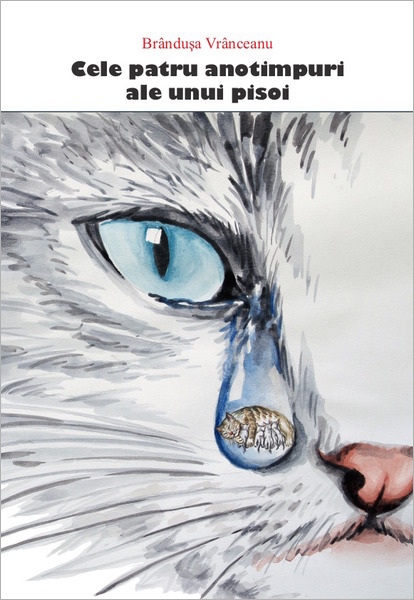 Cele patru anotimpuri ale unui pisoi - Povestire pentru copii Cele patru anotimpuri ale unui pisoi - Povestire pentru copii