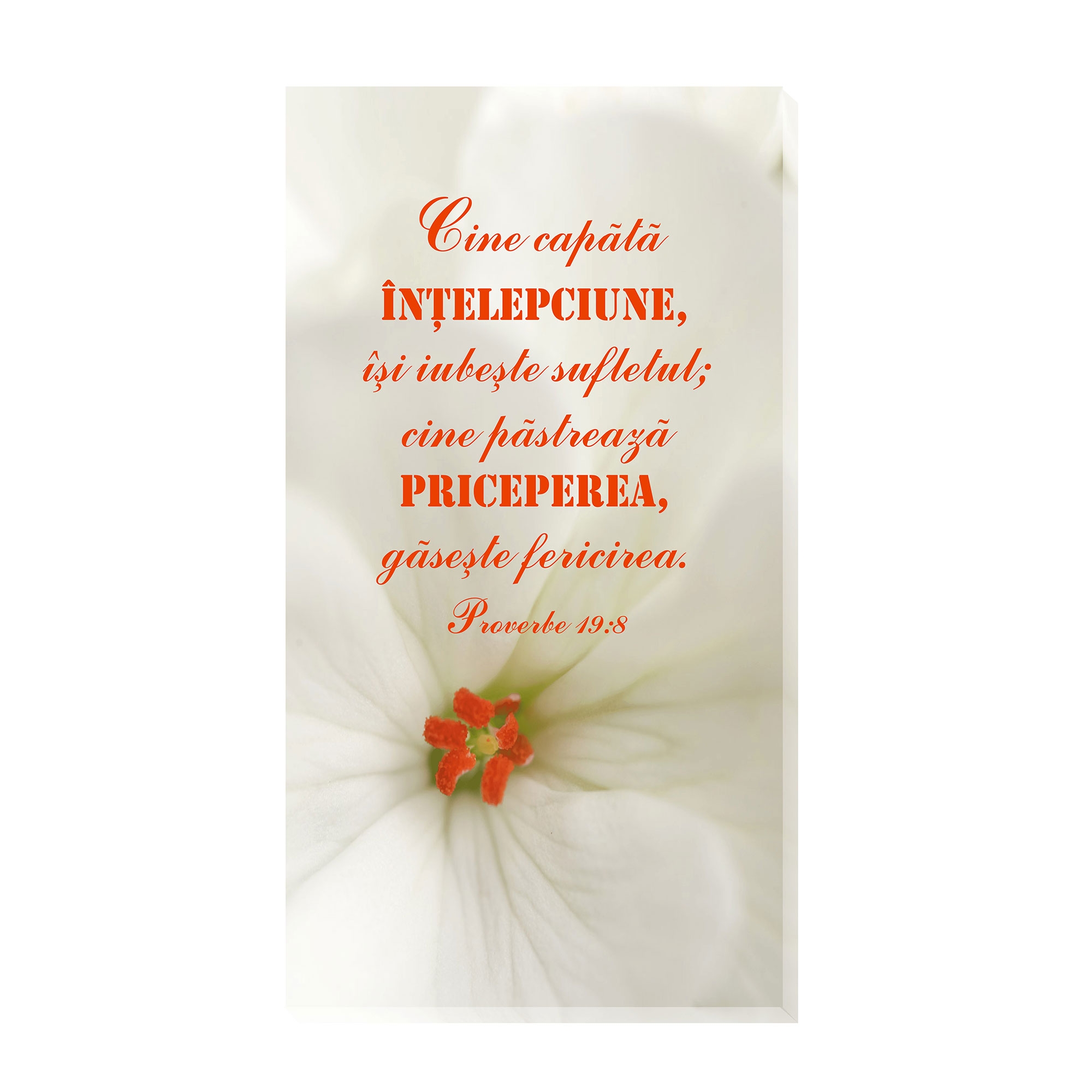 Tablou canvas - Cine capătă înțelepciune (25x50 cm) Tablou canvas - Cine capătă înțelepciune (25x50 cm)