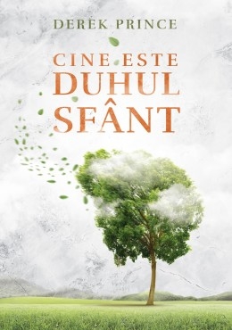Cine este Duhul Sfânt Cine este Duhul Sfânt