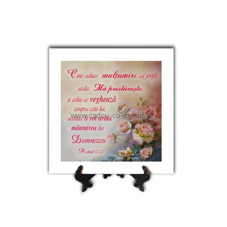 Tablou vintage - Cine aduce mulțumiri (20x20 cm) Tablou vintage - Cine aduce mulțumiri (20x20 cm)