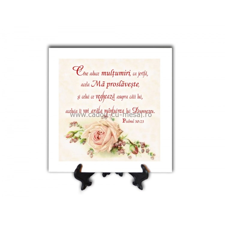 Tablou vintage - Cine aduce mulțumiri ca jertfă (20x20 cm) Tablou vintage - Cine aduce mulțumiri ca jertfă (20x20 cm)