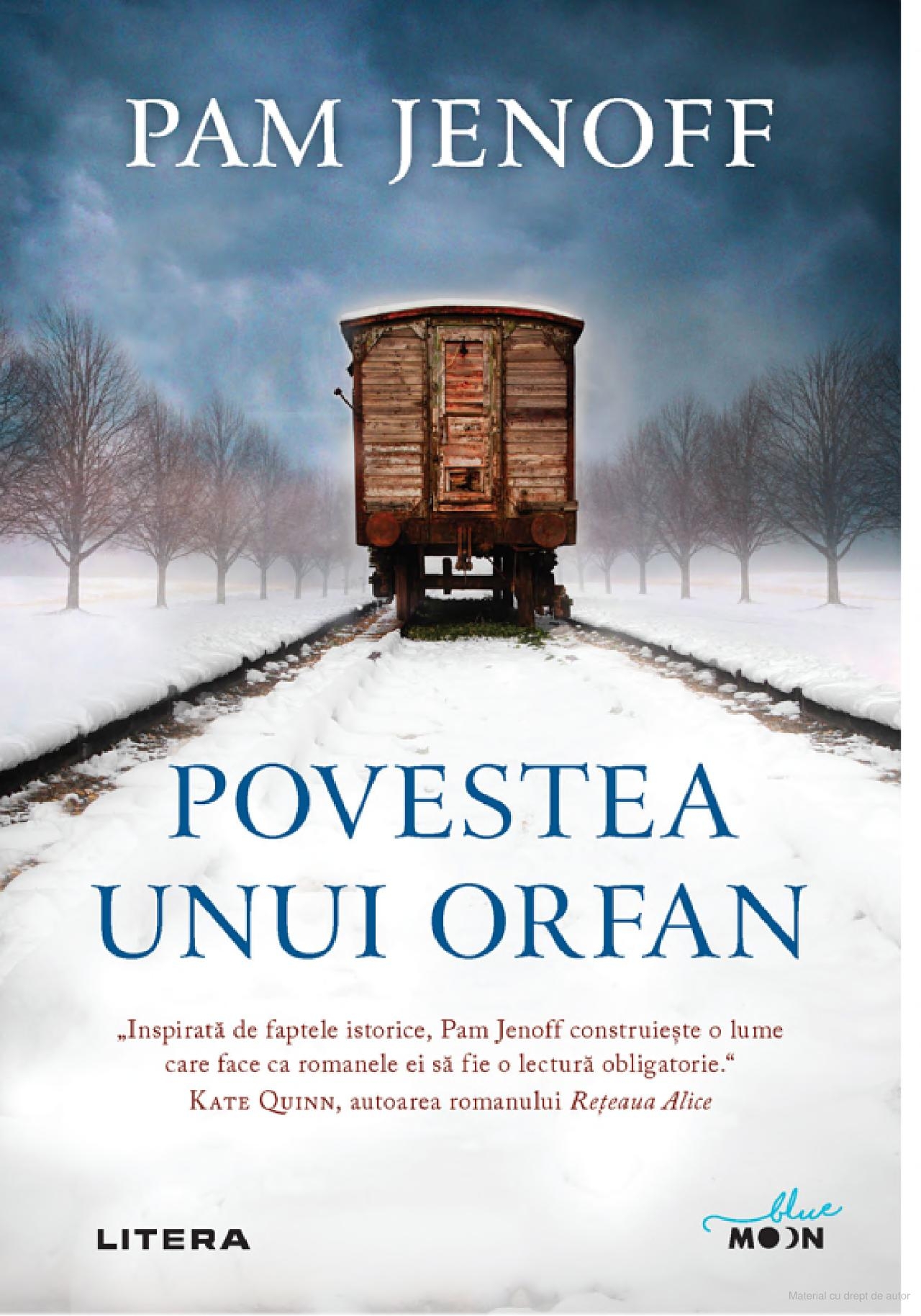 Povestea unui orfan Povestea unui orfan