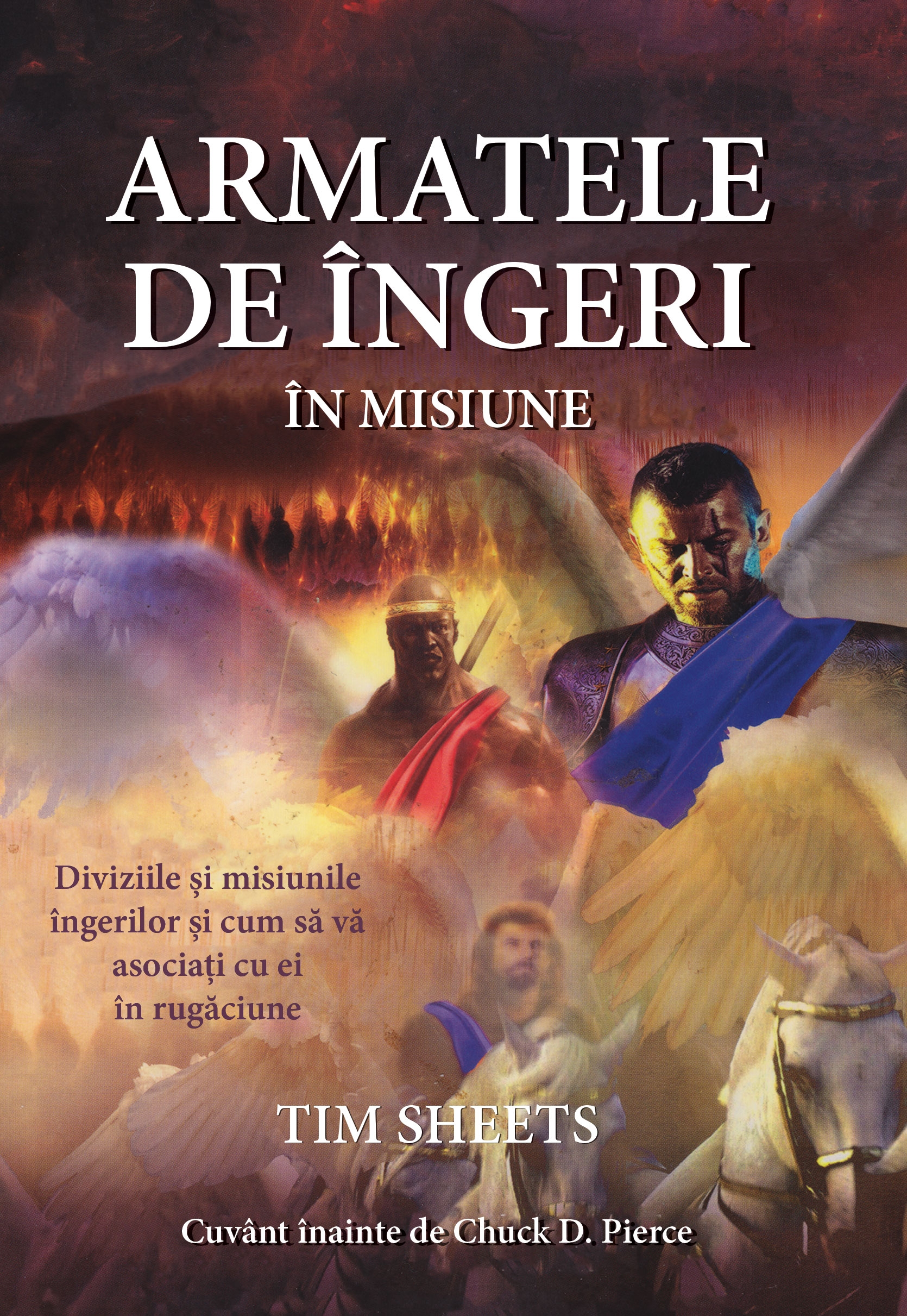 Armatele de îngeri în misiune Armatele de îngeri în misiune