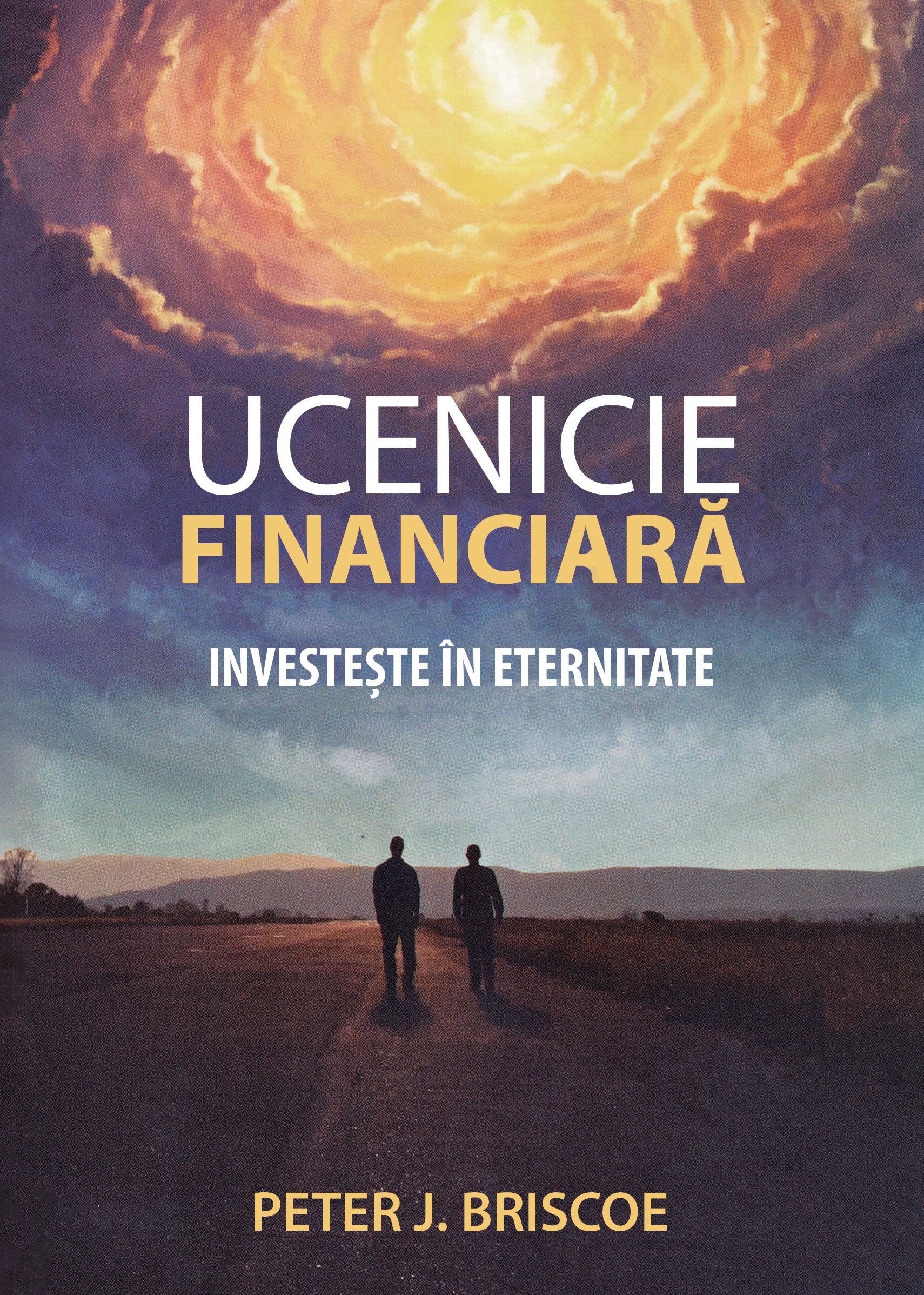 Ucenicie financiară Ucenicie financiară