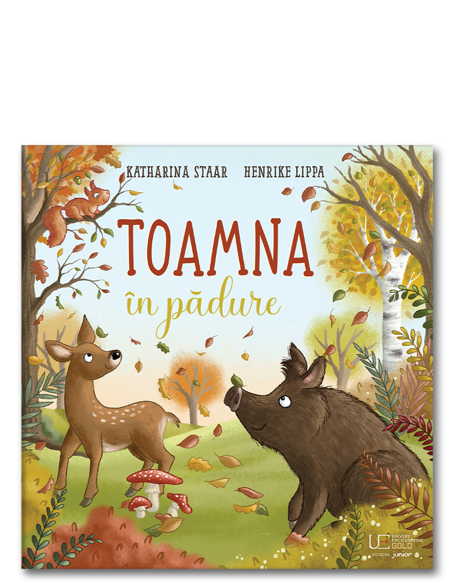 Toamna în pădure Toamna în pădure