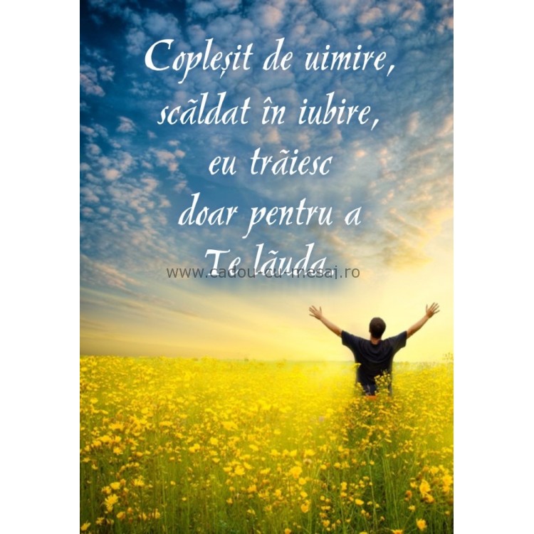 Poster citate - Coplesit de uimire