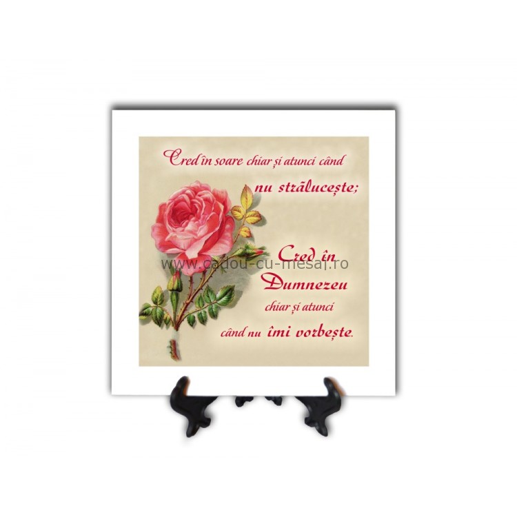 Tablou vintage - Cred în soare (20x20 cm) Tablou vintage - Cred în soare (20x20 cm)