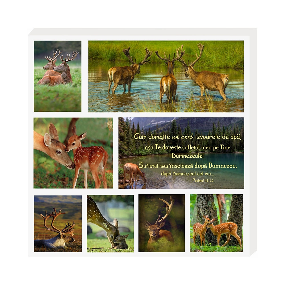 Tablou colaj vintage - "Cum doreşte un cerb..." (30x30 cm)