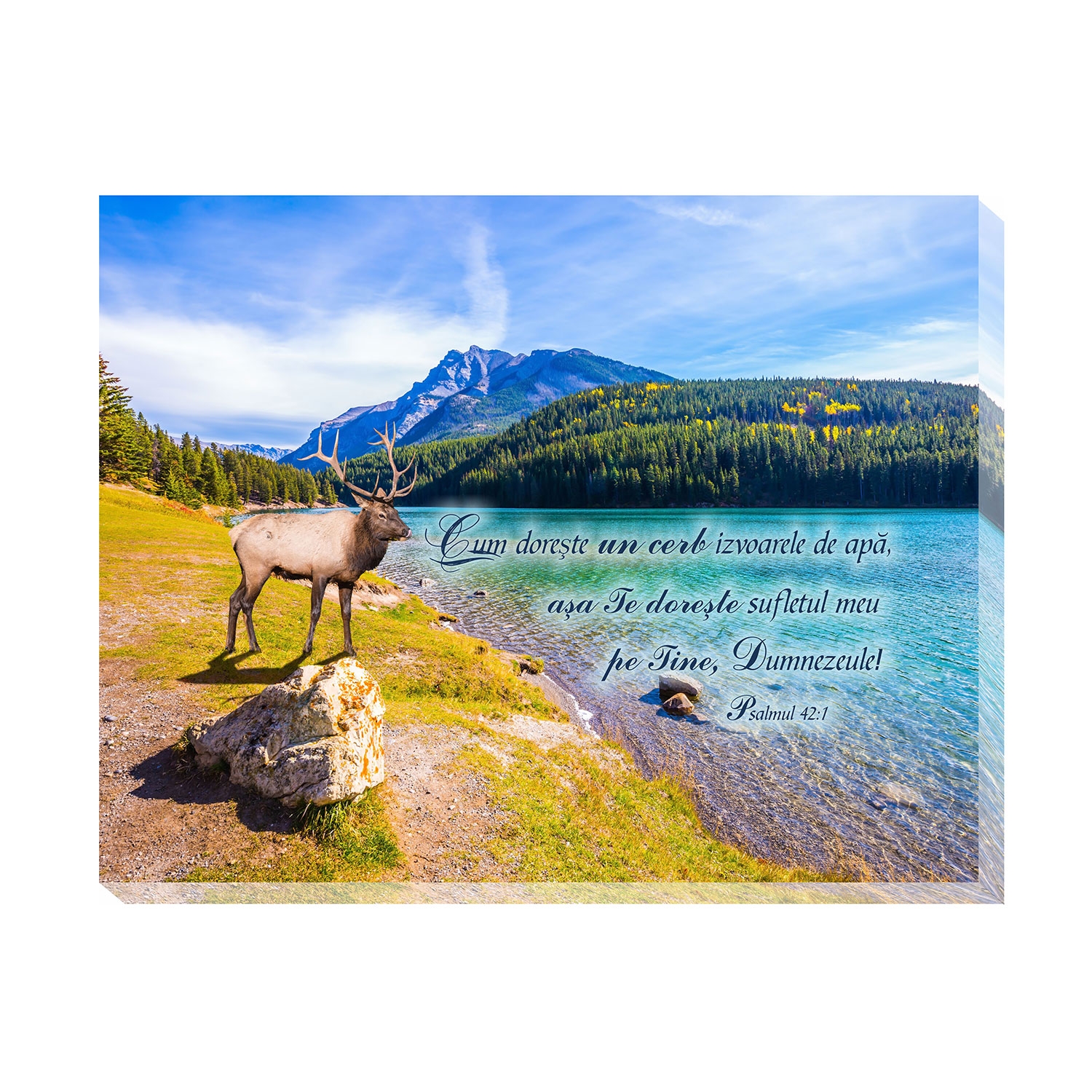 Tablou canvas (25x30cm) - Cum doreste un cerb Tablou canvas (25x30cm) - Cum doreste un cerb