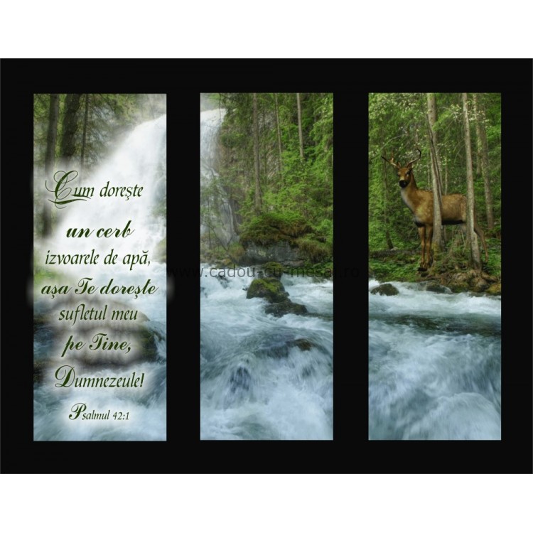 Placheta catifea - Cum doreste un cerb Placheta catifea - Cum doreste un cerb