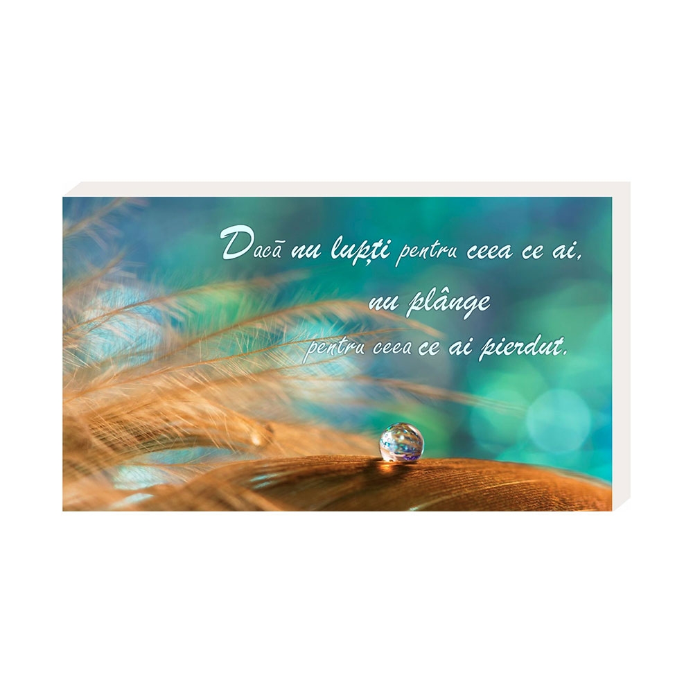 Placheta birou - "Dacă nu lupți pentru ceea ce ai, nu plănge ... "