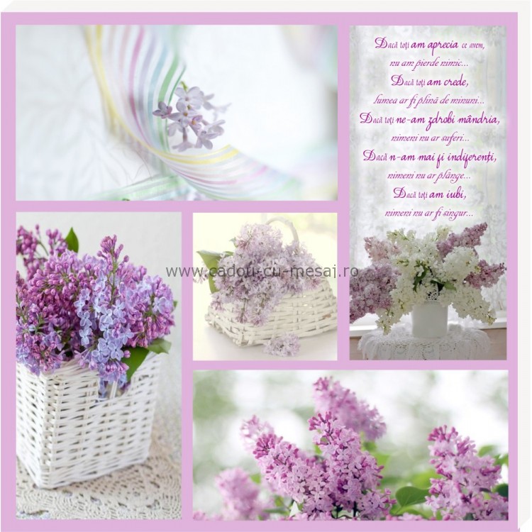 Tablou colaj vintage - Dacă toți am aprecia (30x30 cm) Tablou colaj vintage - Dacă toți am aprecia (30x30 cm)