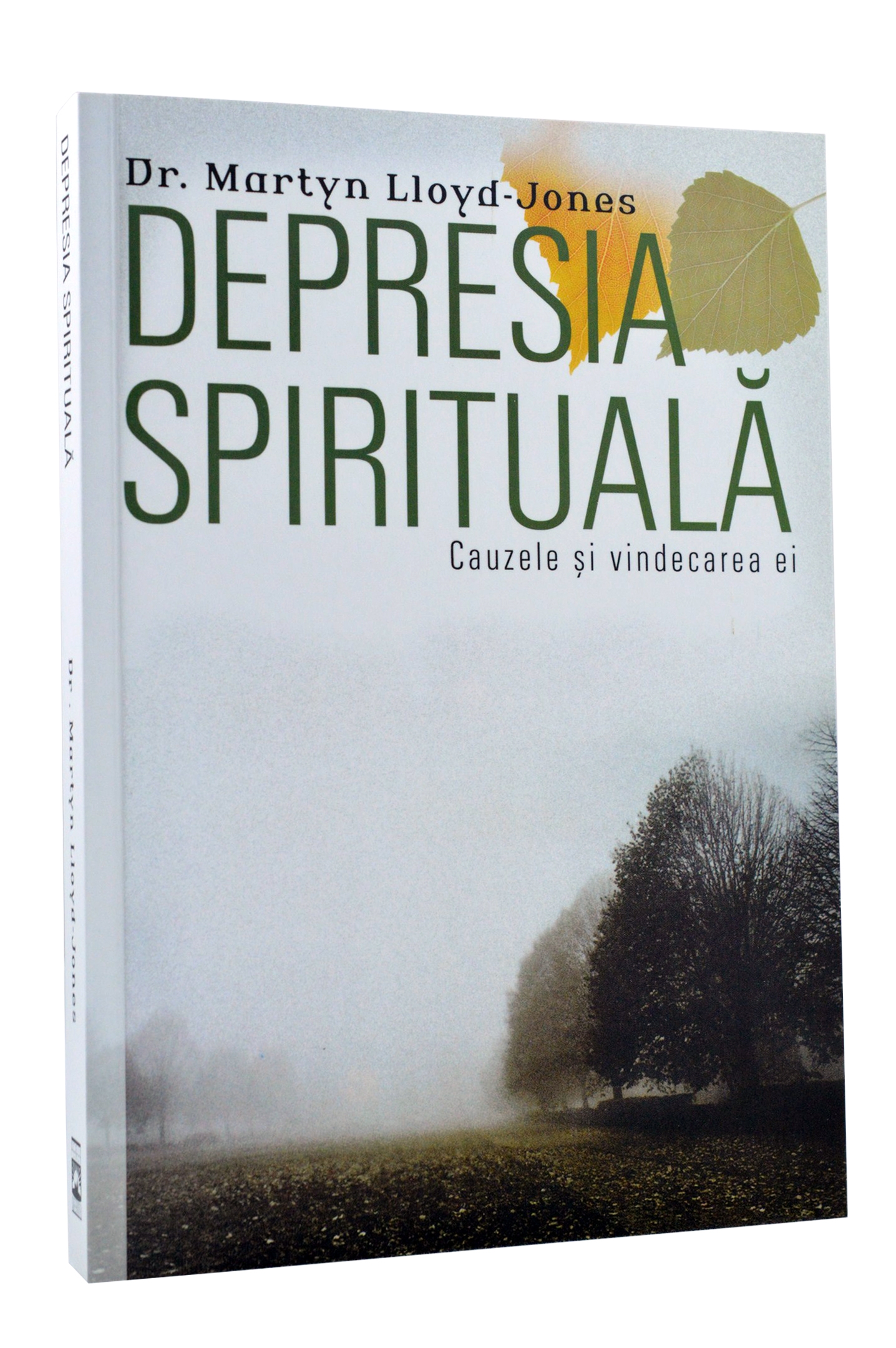 Depresia spirituală Depresia spirituală