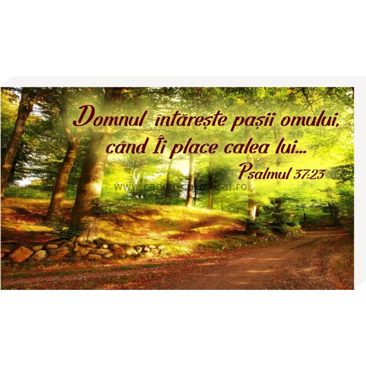 Domnul întărește pașii omului- Placheta birou Domnul întărește pașii omului- Placheta birou