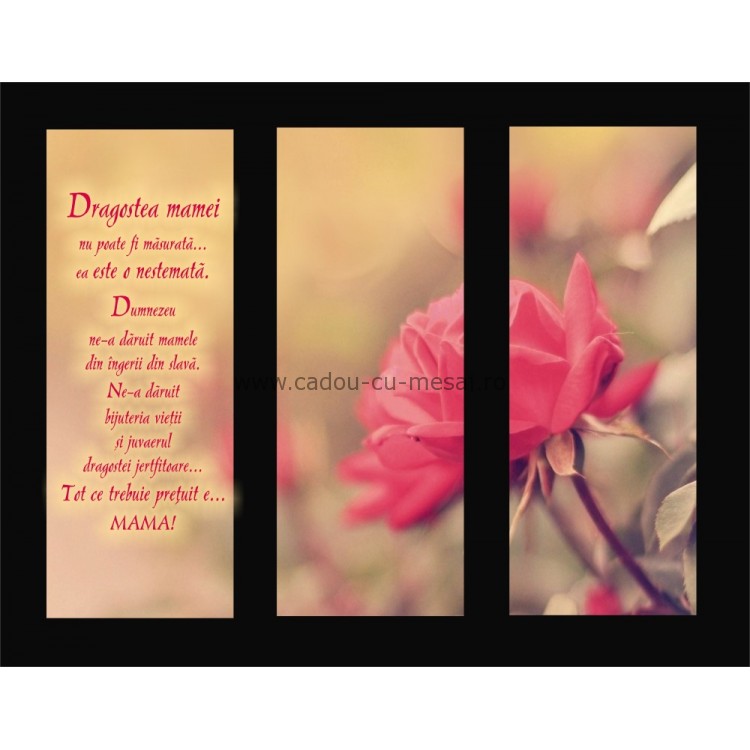 Placheta catifea - Dragostea mamei Placheta catifea - Dragostea mamei