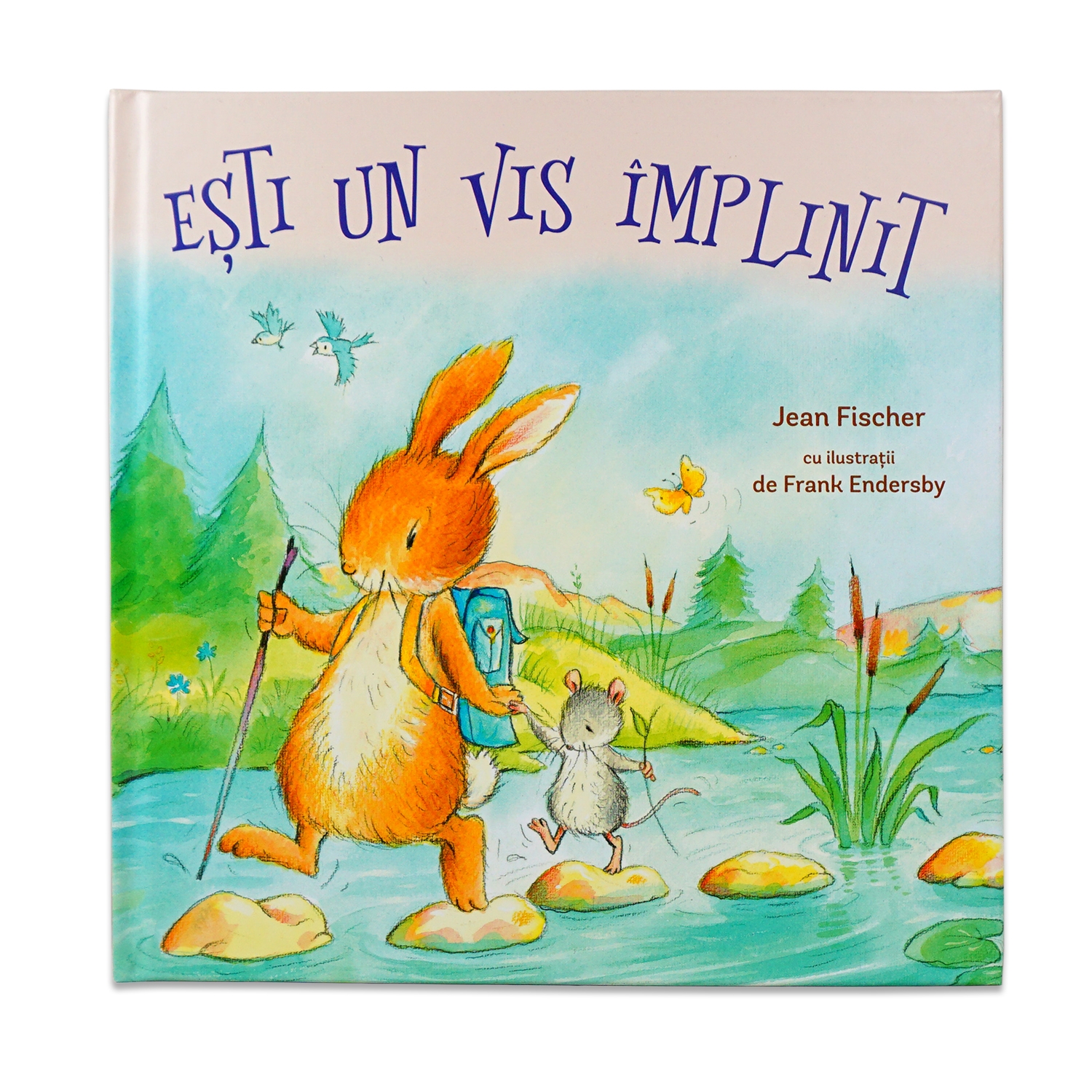 Ești un vis împlinit - Carte educativă pentru copii