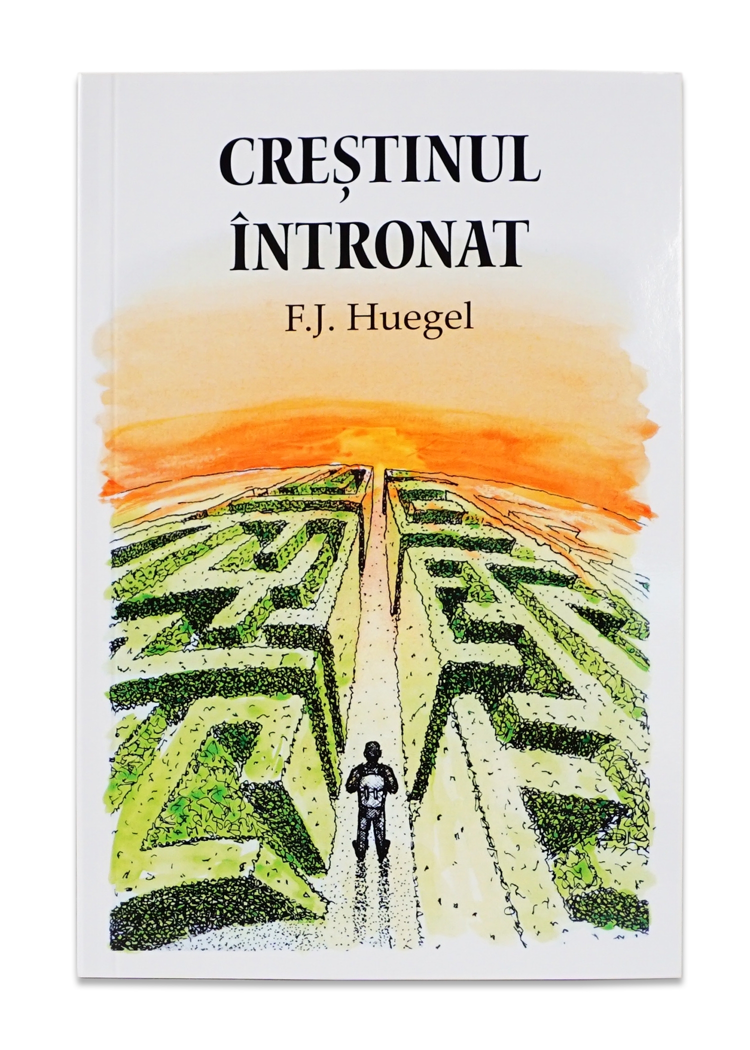 Creștinul întronat - Dezvoltare spirituală Creștinul întronat - Dezvoltare spirituală