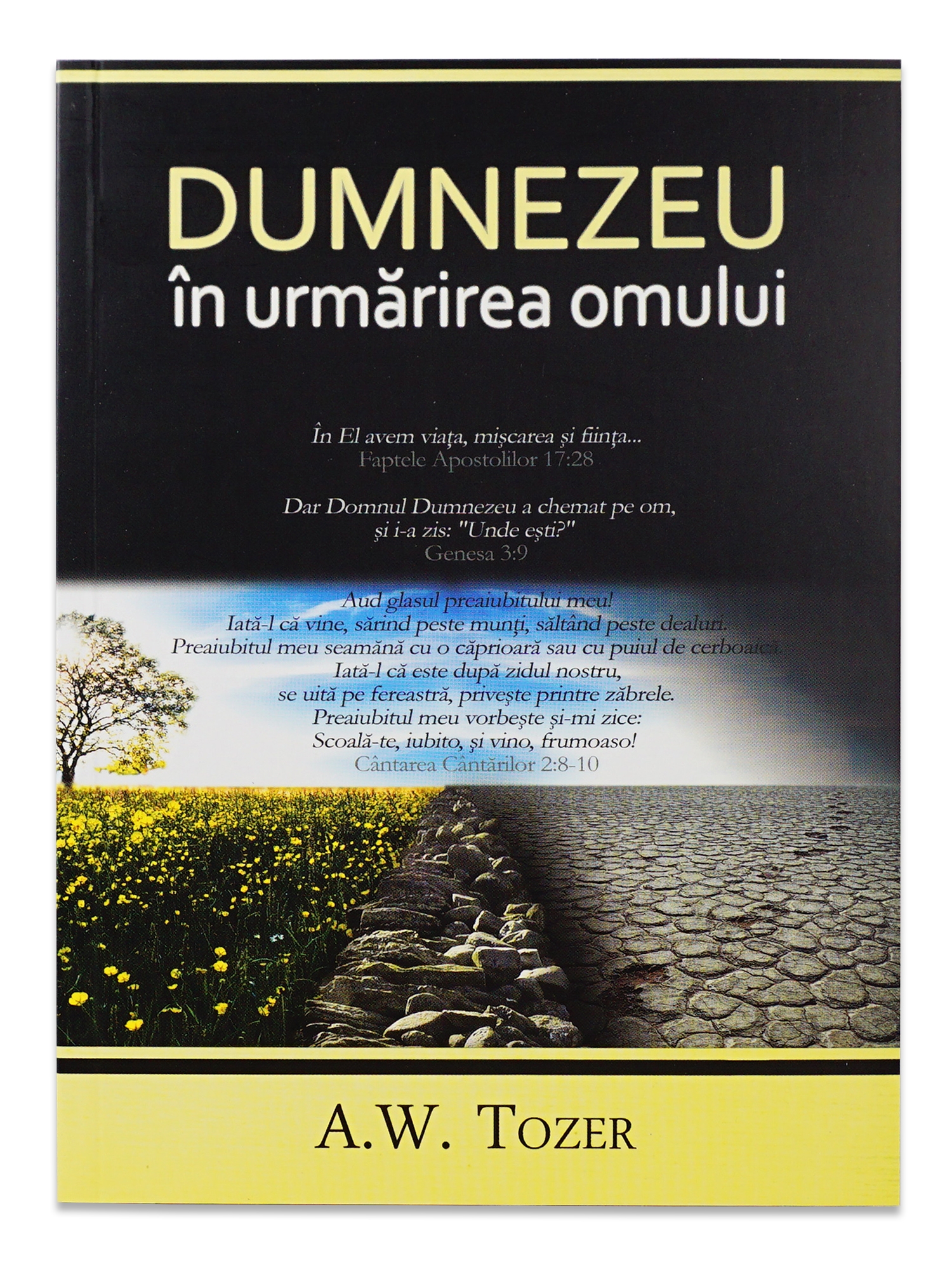 Dumnezeu in urmarirea omului