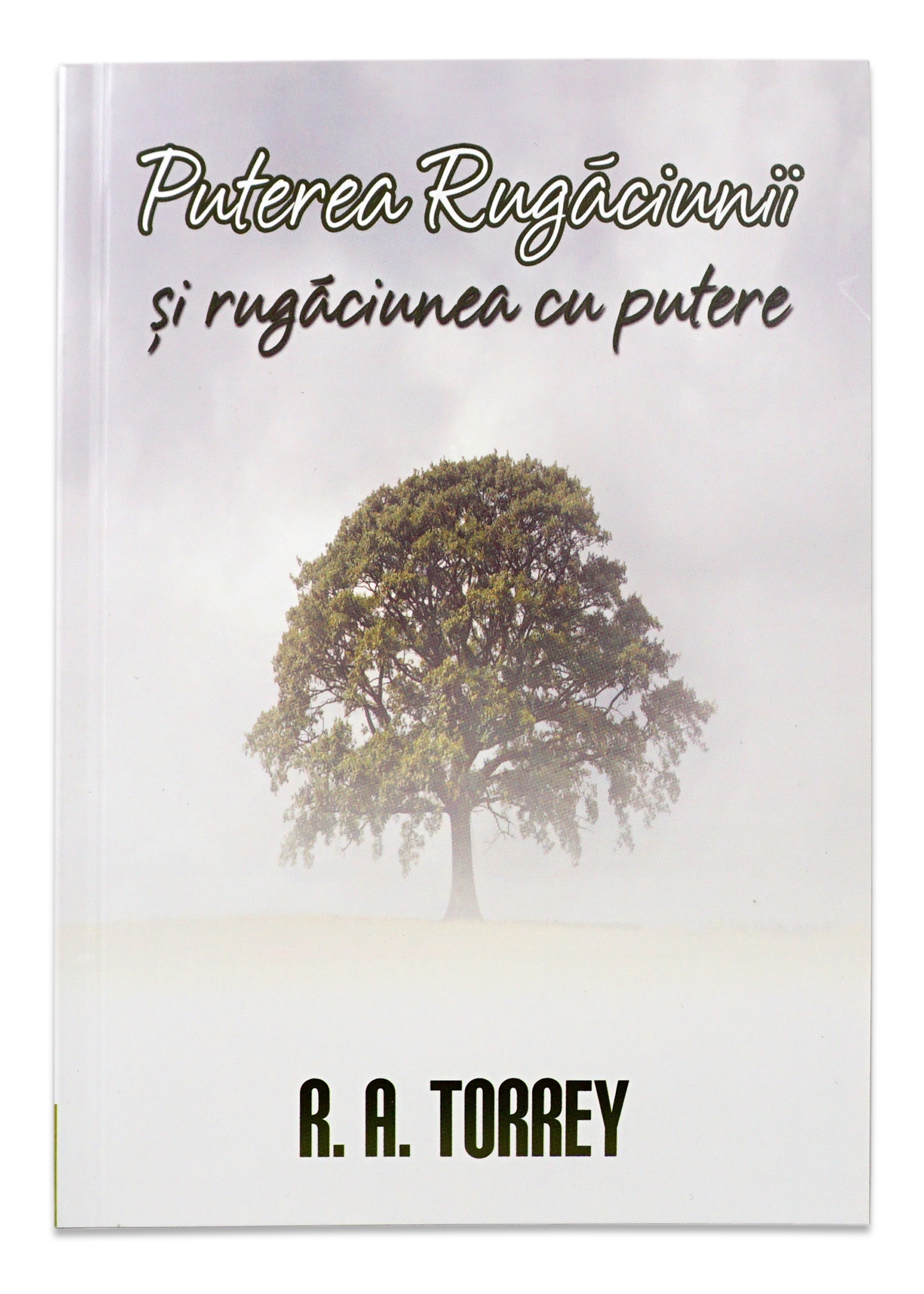 Puterea rugăciunii si rugaciunea cu putere Puterea rugăciunii si rugaciunea cu putere