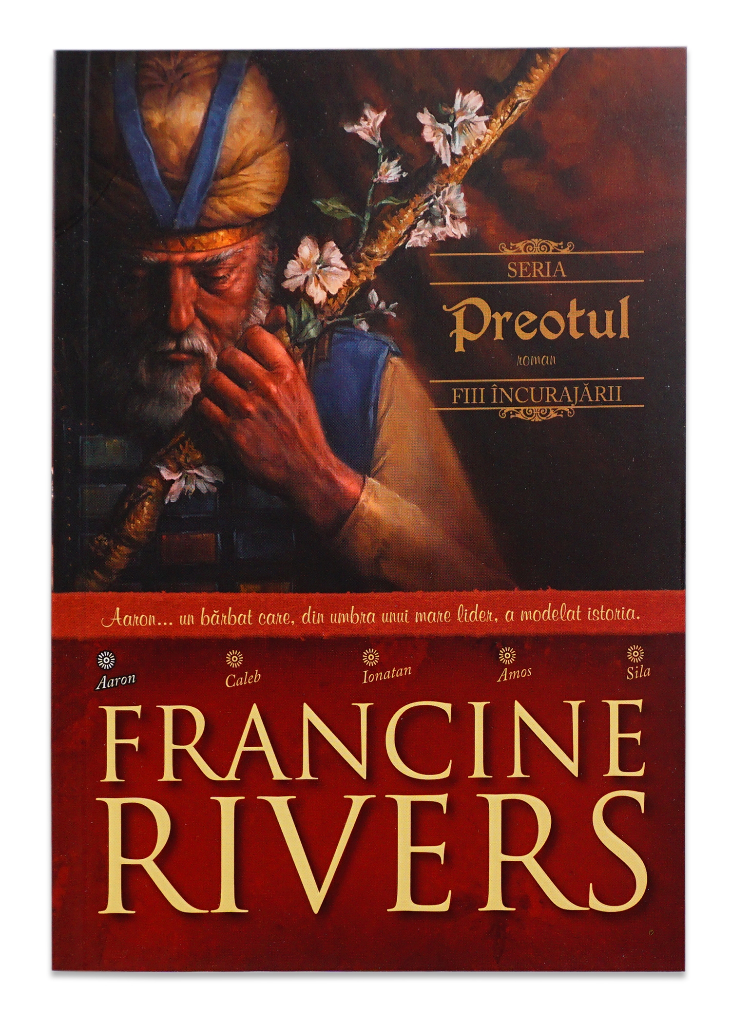 Preotul - Aaron (Colectia Fiii Incurajarii) - roman crestin