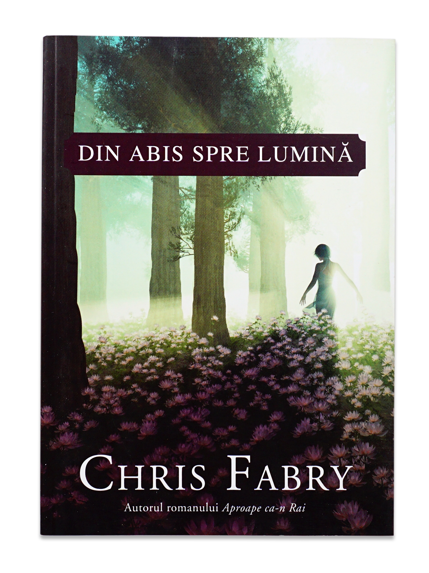 Din abis spre lumina - Roman crestin Din abis spre lumina - Roman crestin